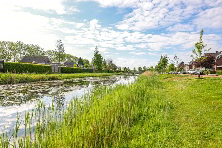 Foto 69 van Paardenbloem 62