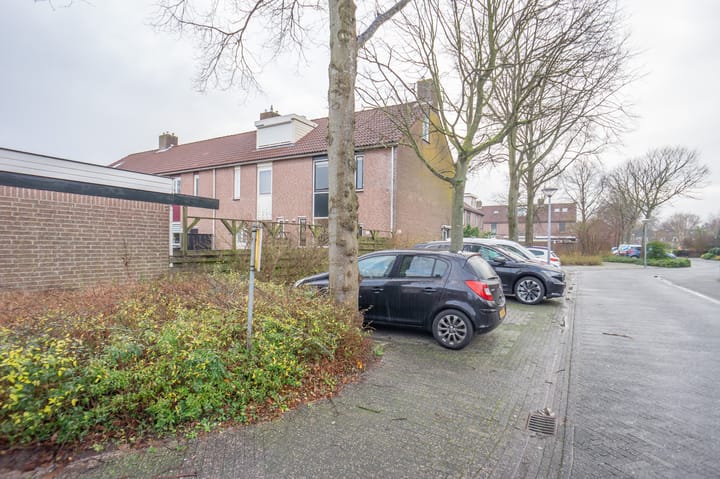 Foto 34 van Butterwoud 97