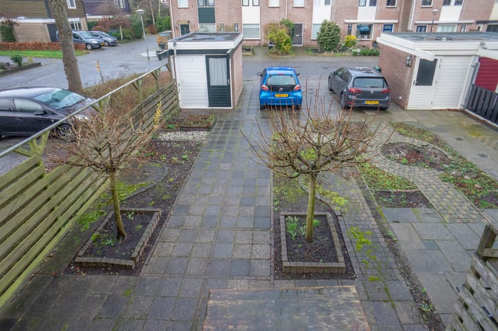 Foto 35 van Butterwoud 97