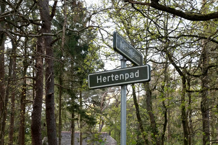 Foto 2 van Hertenpad 12