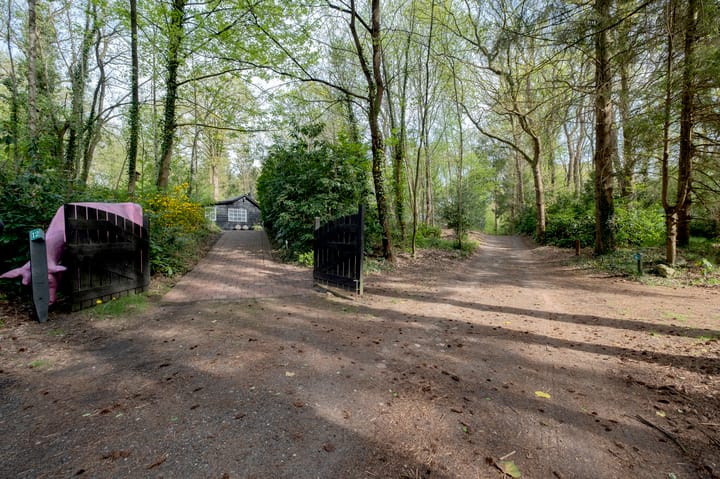 Foto 3 van Hertenpad 12