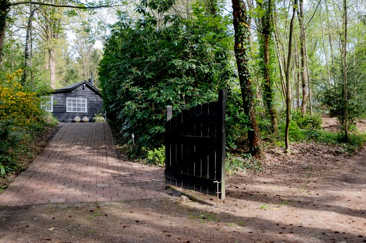 Foto 4 van Hertenpad 12