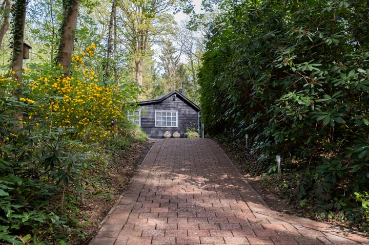 Foto 5 van Hertenpad 12