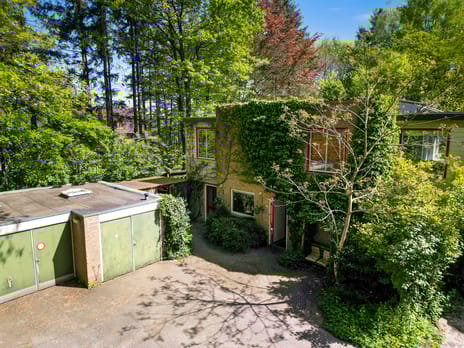 undefined main image