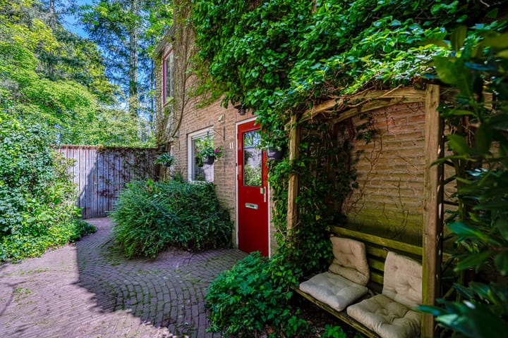 Foto 7 van Michielpad 11