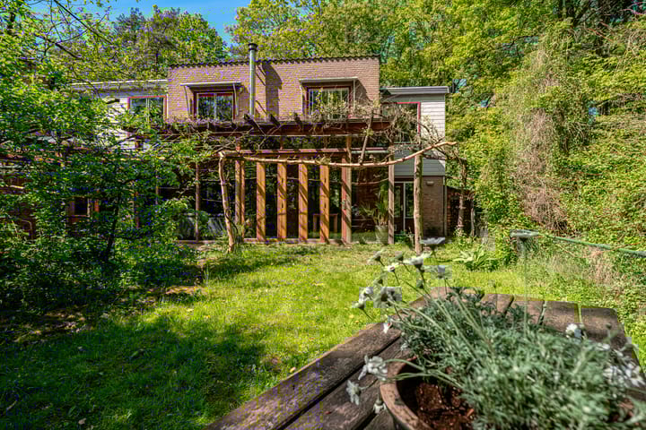 Foto 48 van Michielpad 11