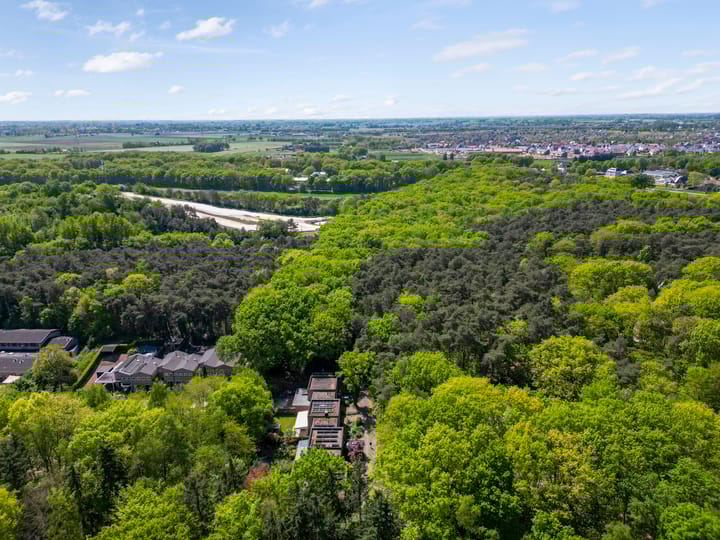 Foto 57 van Michielpad 11