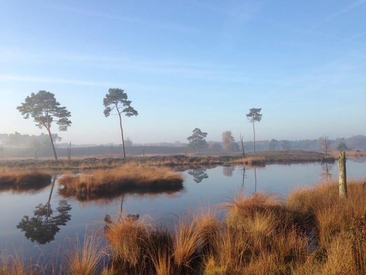 Foto 59 van Michielpad 11