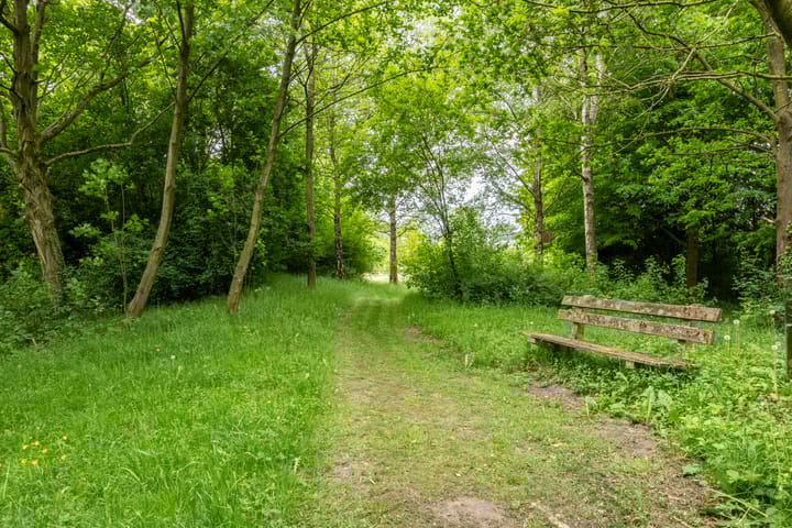 Foto 40 van Laarweg 41