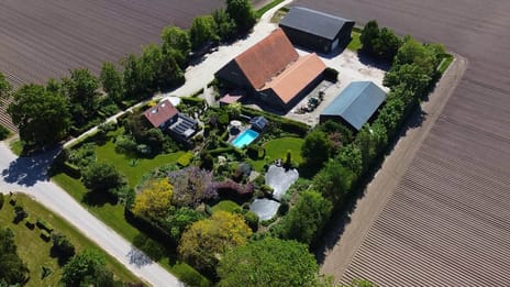 undefined main image