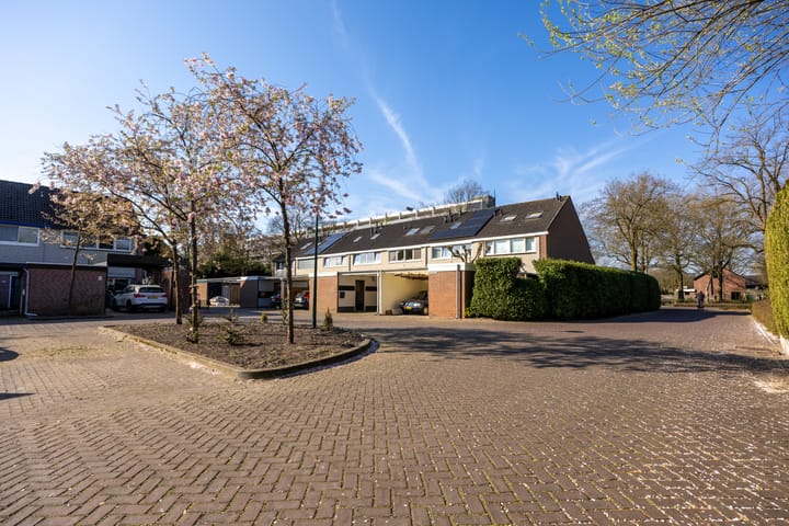 Foto 1 van Houtsnipwal 4