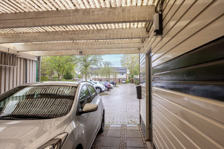 Foto 37 van Houtsnipwal 4