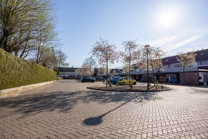 Foto 39 van Houtsnipwal 4