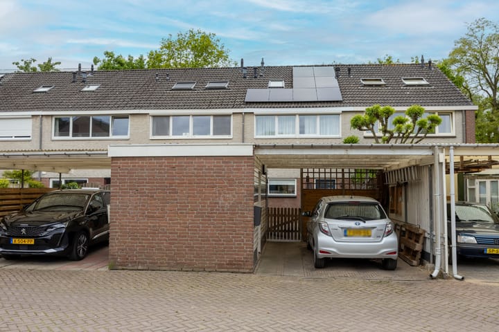 Foto 40 van Houtsnipwal 4