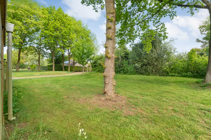 Foto 50 van Hesselsstraat 7