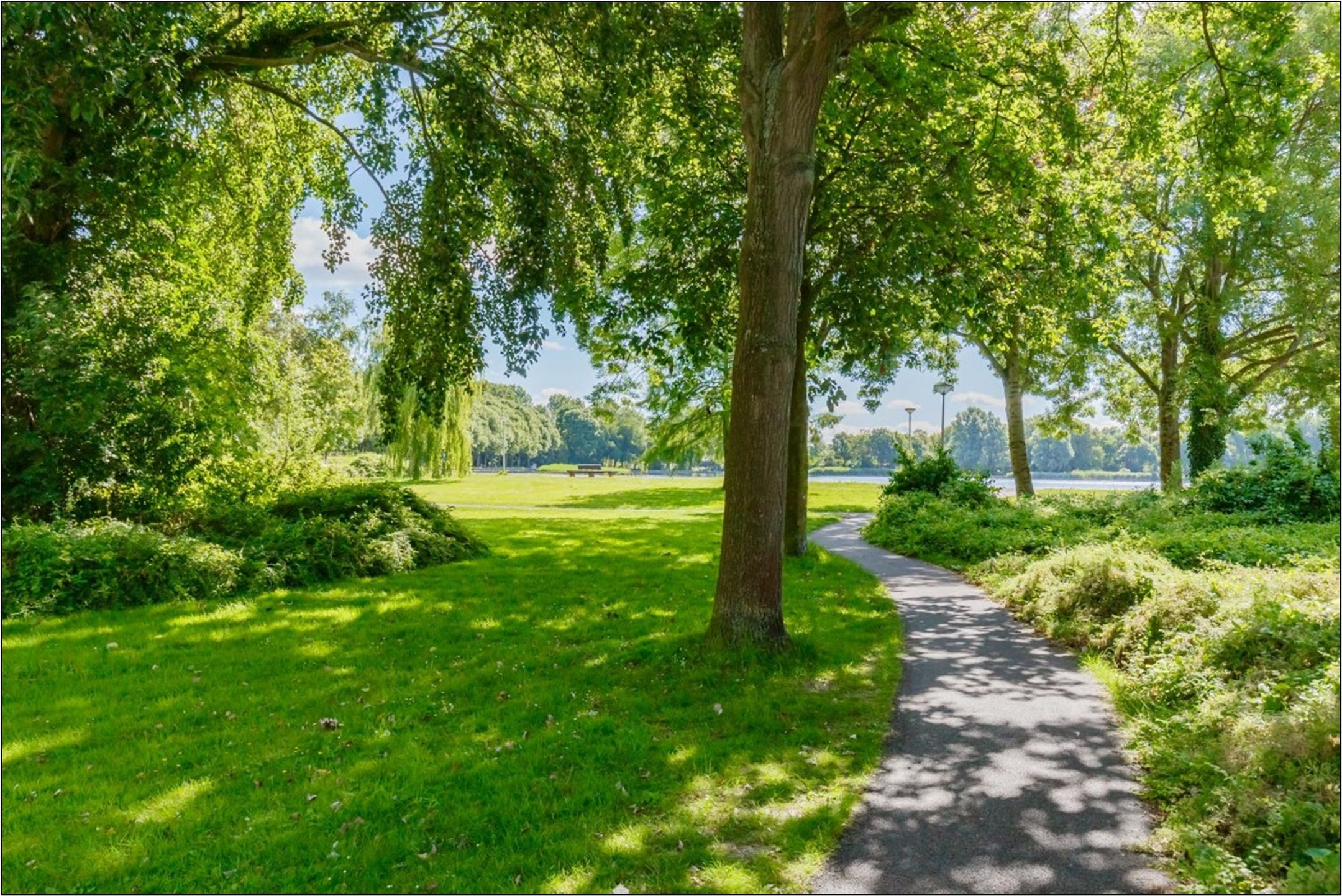 Foto 30 van Lupinesingel 344