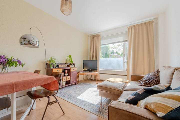 Foto 2 van Boergoensevliet 101-A