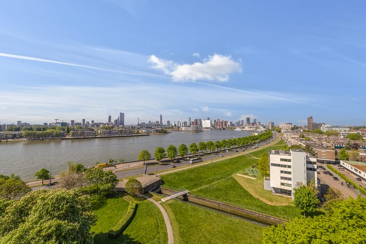 Foto 2 van Oostmaaslaan 884