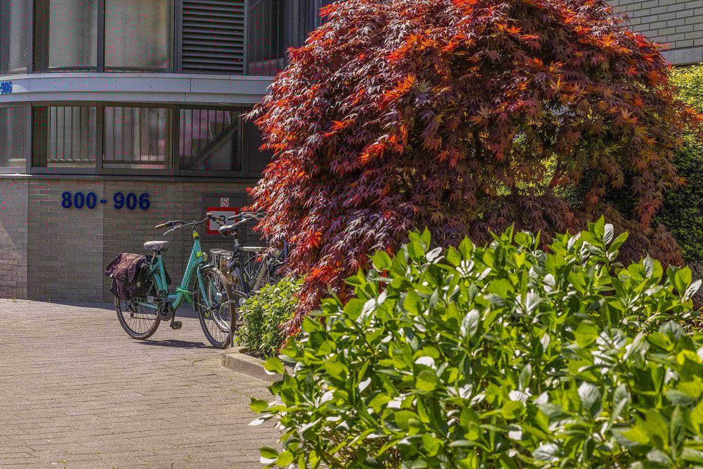 Photo 5 of Oostmaaslaan 884