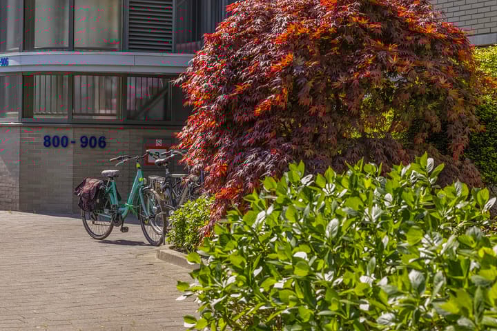 Foto 5 van Oostmaaslaan 884