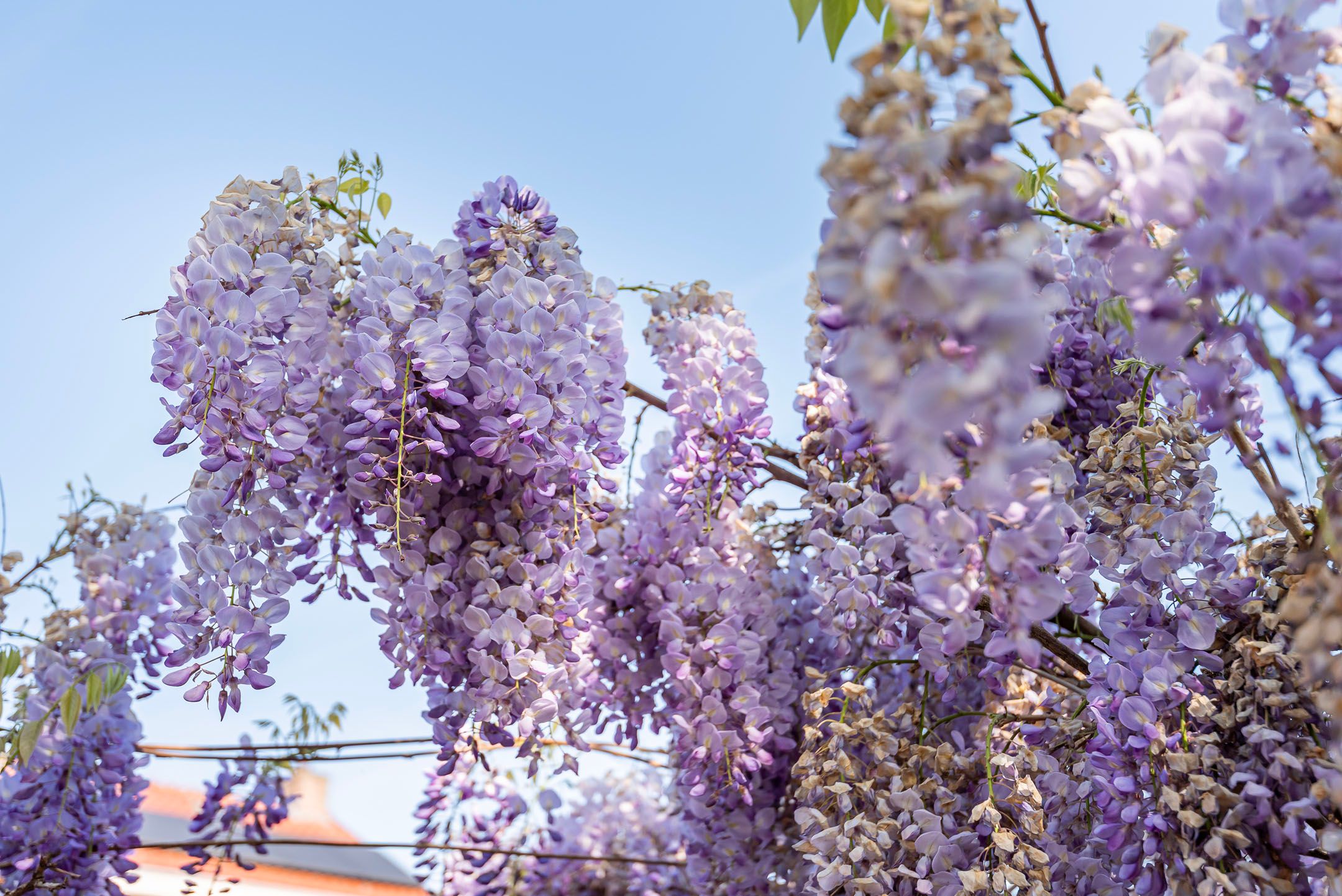 Foto 33 van Prins Hendriklaan 12