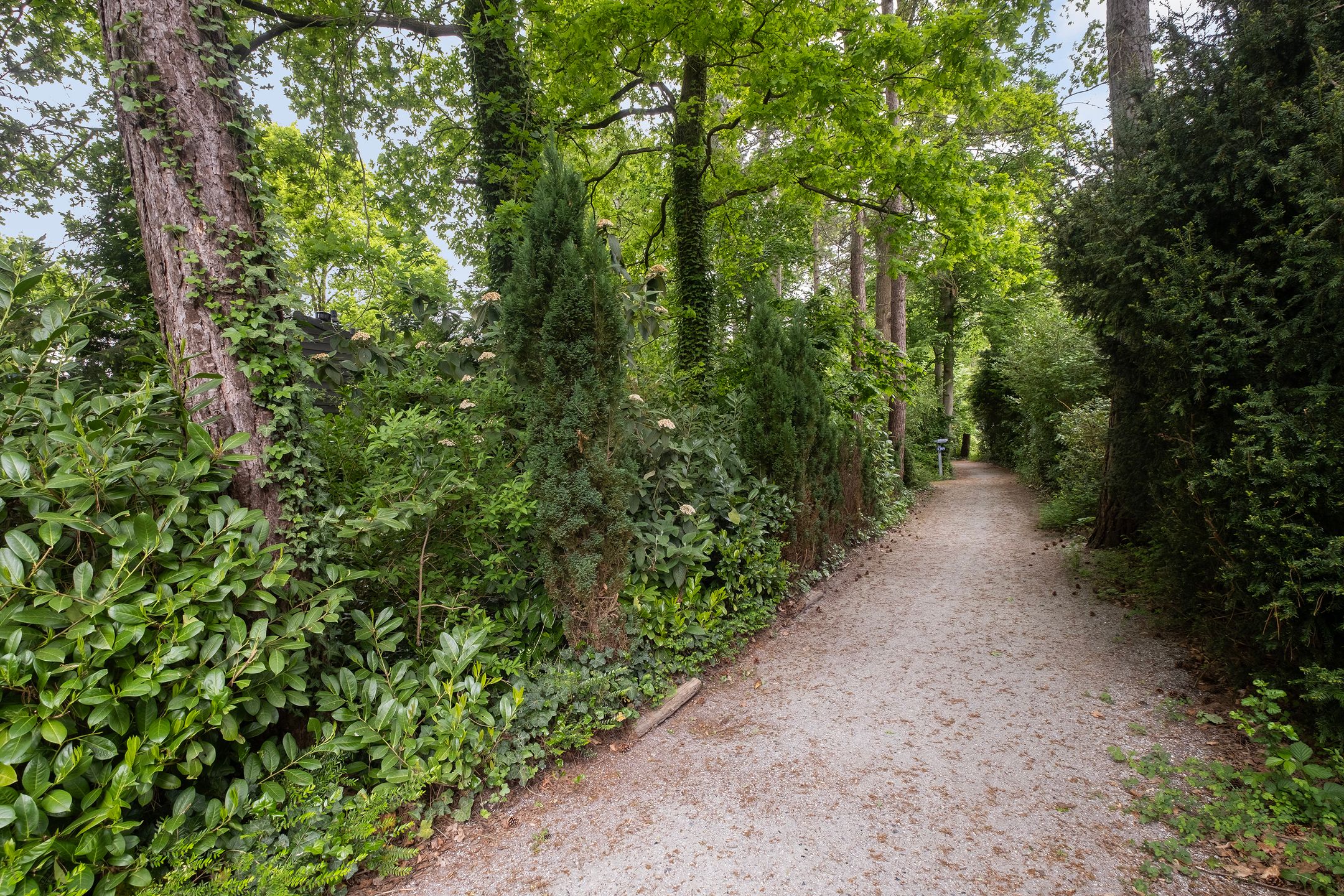 Foto 24 van Bijsselseweg 11-123