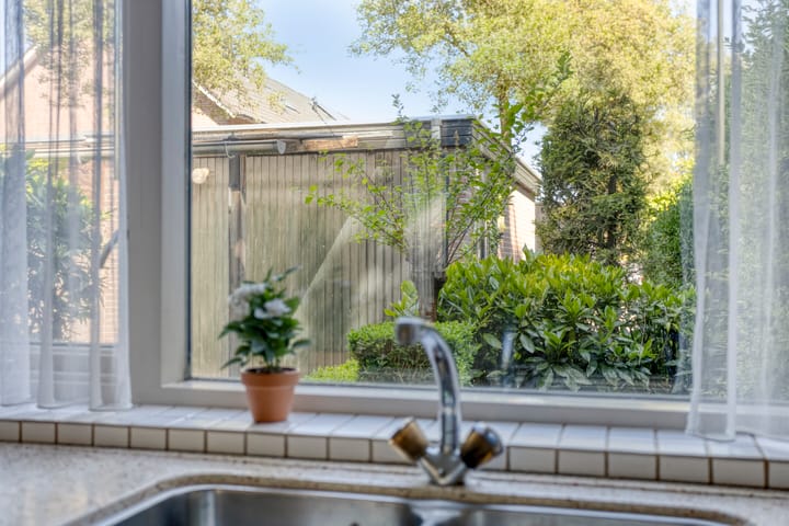 Foto 15 van de Schout 1