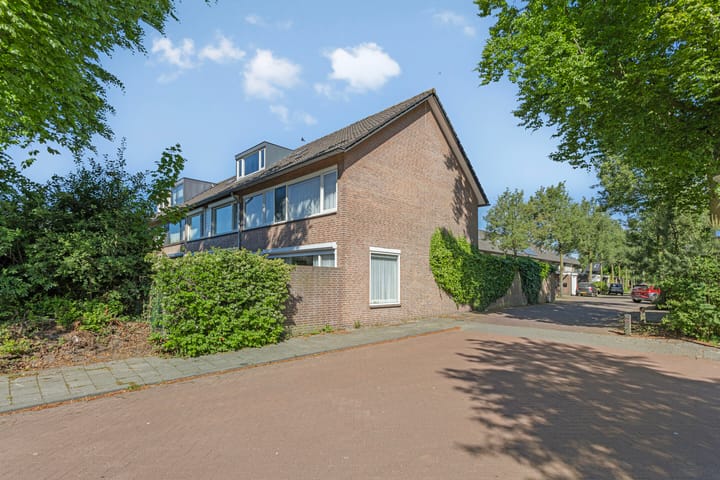 Foto 35 van de Schout 1