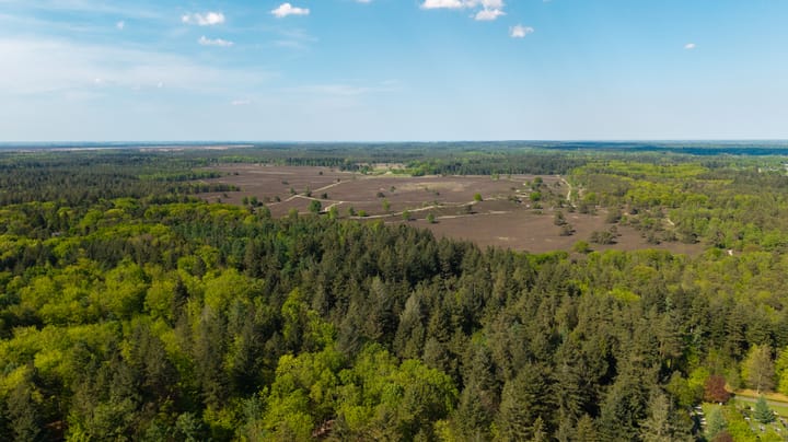 Foto 3 van Dellenparkweg 11