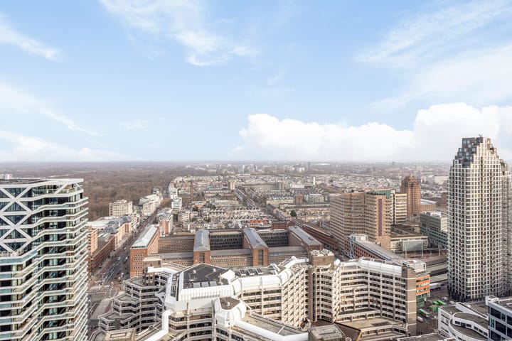 Foto 18 van Anna van Buerenplein 239