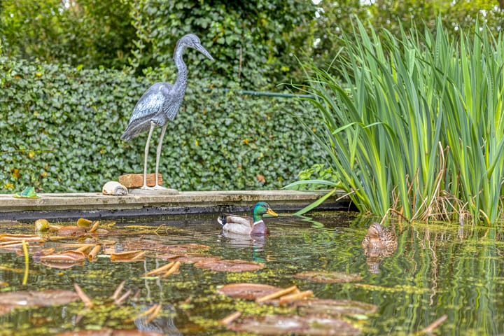 Foto 52 van Nijmeegsebaan 45