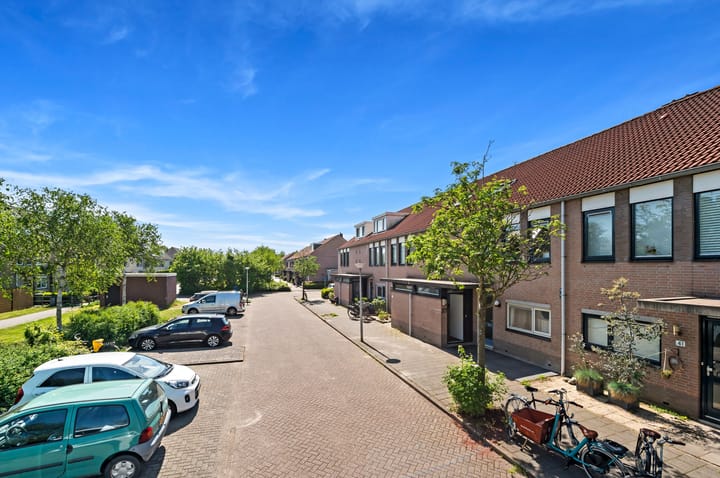 Foto 6 van Kaasjeskruid 37