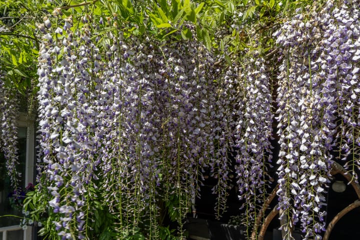 Foto 28 van Stationsstraat 36