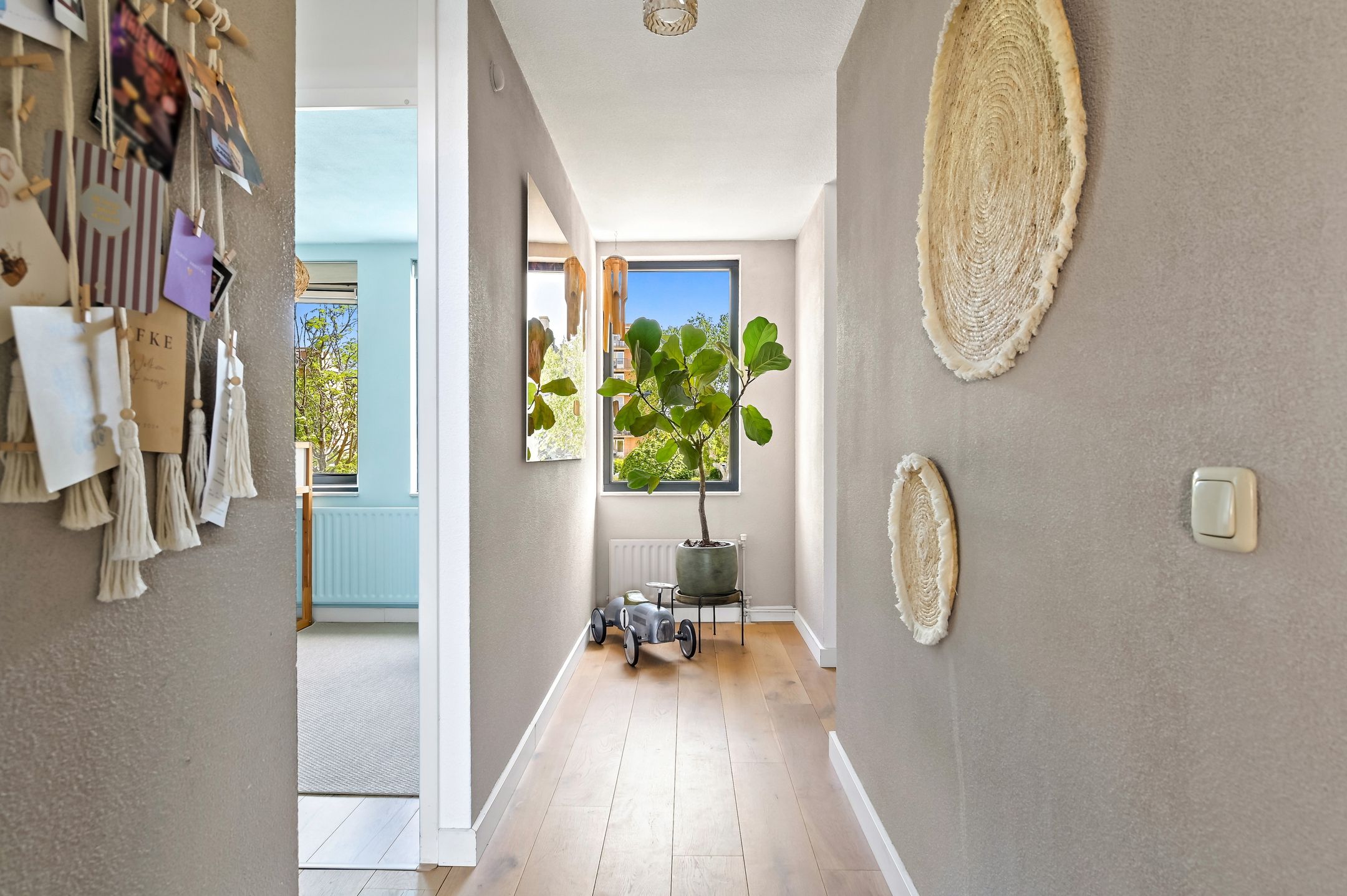 Foto 15 van Kaasjeskruid 37