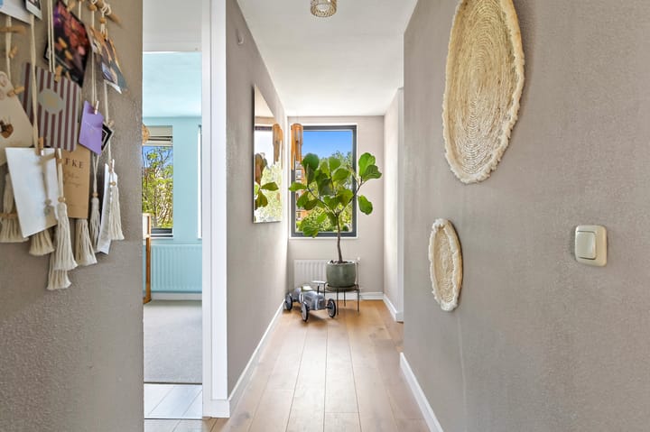 Foto 15 van Kaasjeskruid 37