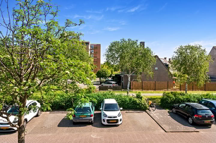 Foto 18 van Kaasjeskruid 37