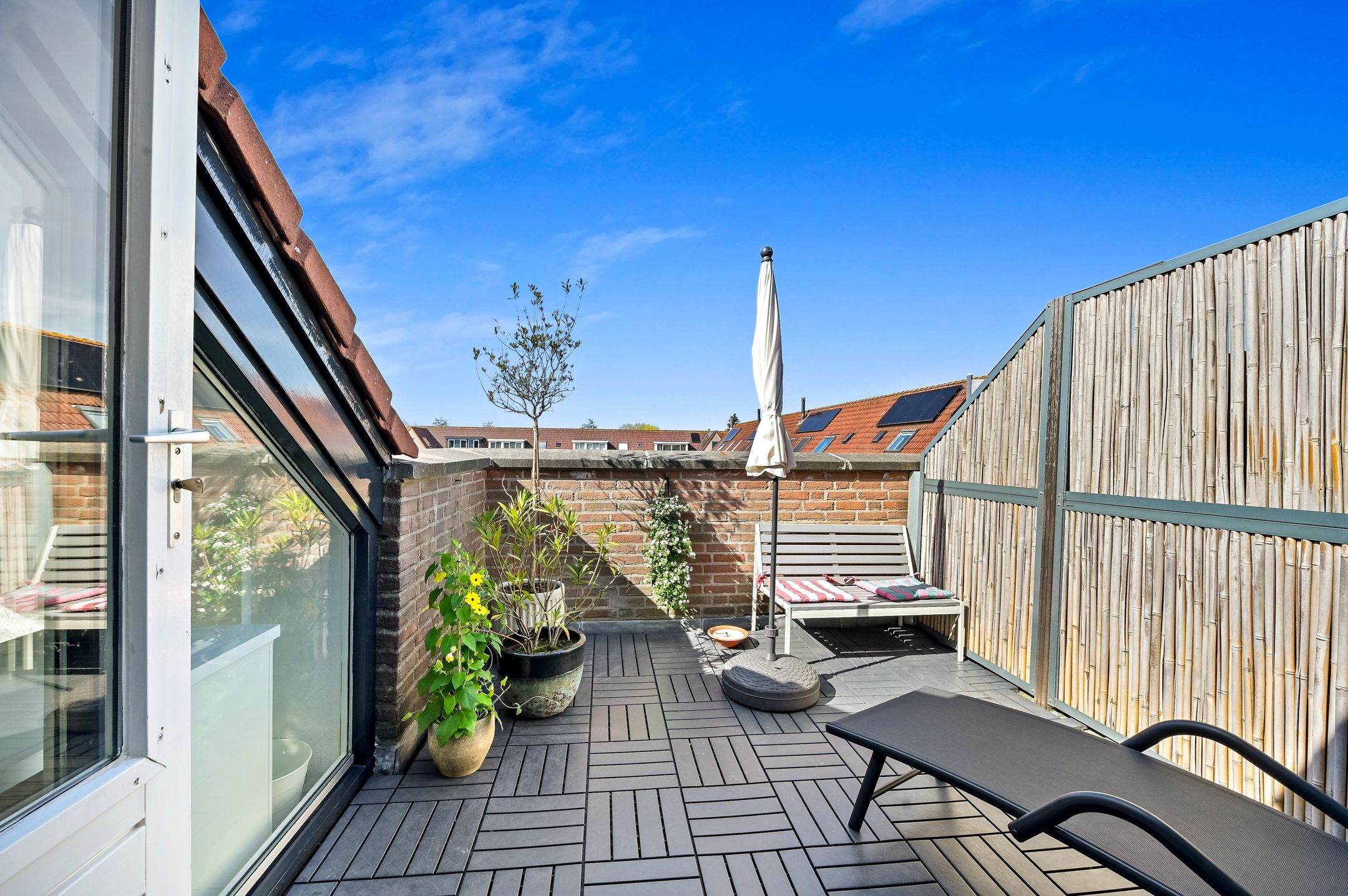 Foto 33 van Kaasjeskruid 37