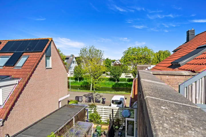 Foto 36 van Kaasjeskruid 37