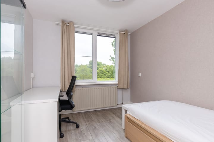 Photo 22 of Oliemolen 142