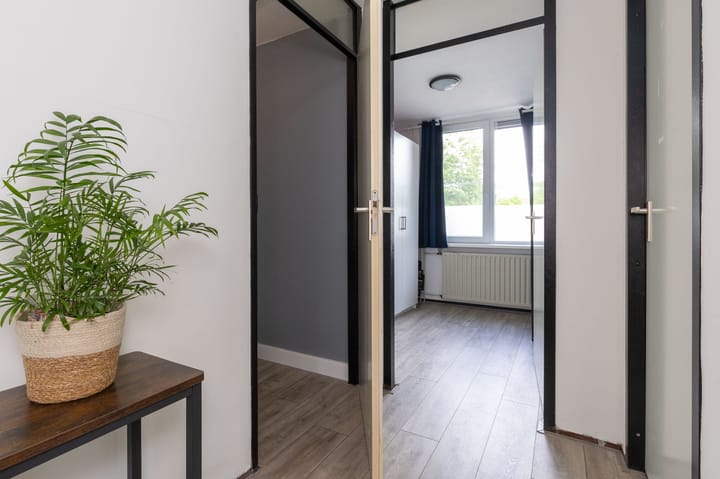 Photo 32 of Oliemolen 142