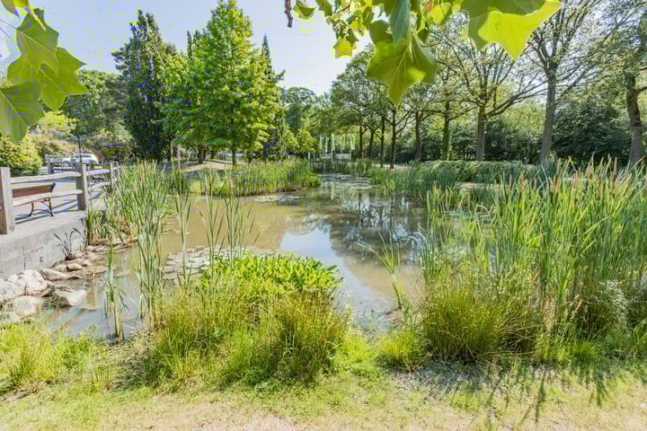 Photo 38 of Oshaarseweg 24-126