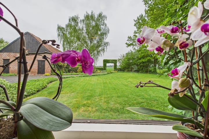 Foto 12 van Varempéstraat 5