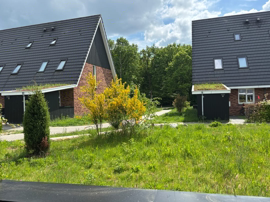 Foto 28 van Nelson Mandelahof 43