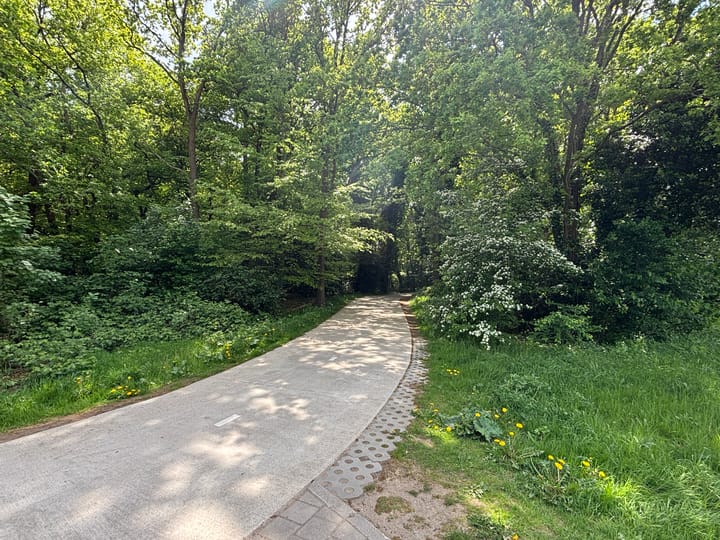 Foto 30 van Nelson Mandelahof 43