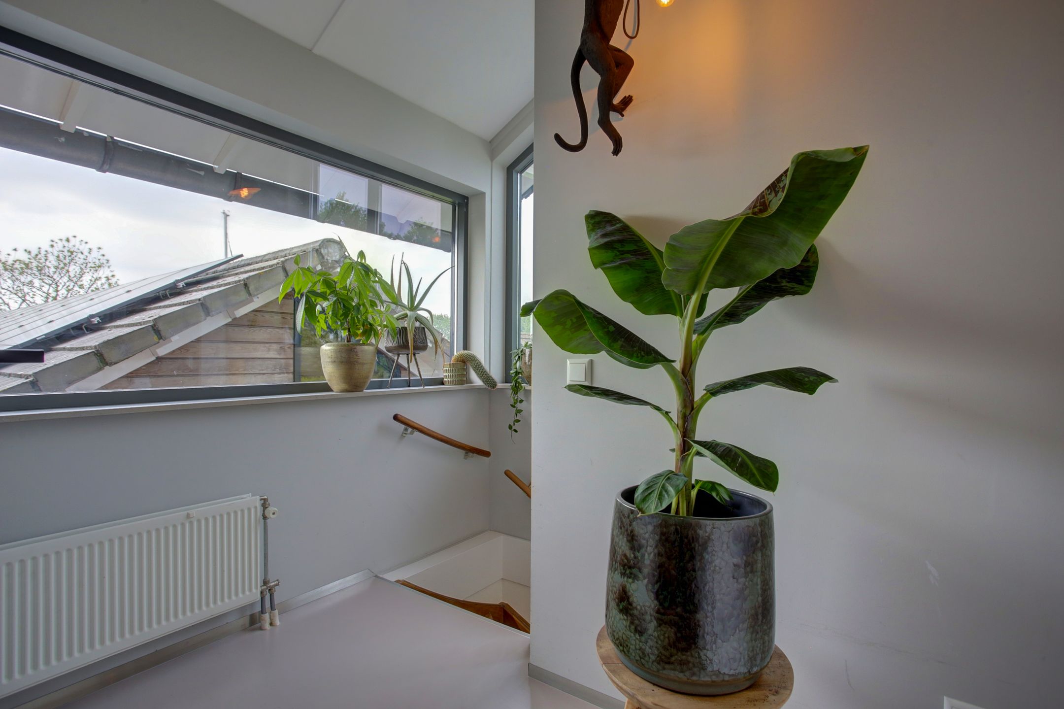 Foto 33 van Hollandse Hout 229