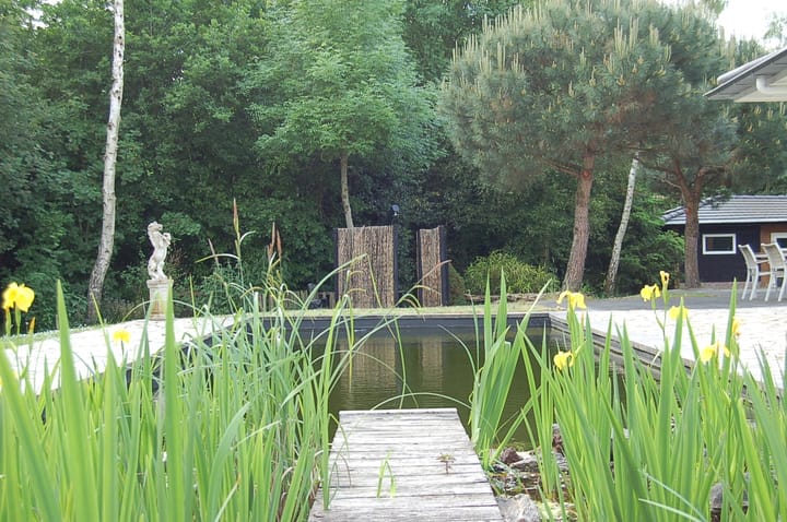 Foto 43 van Zuiderboslaan 15