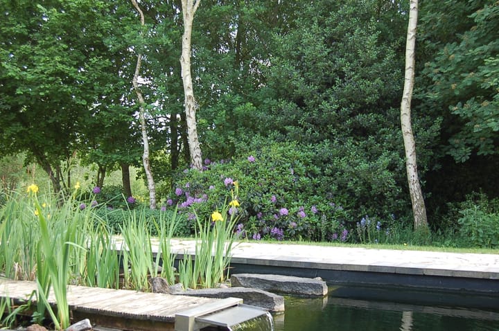 Foto 44 van Zuiderboslaan 15