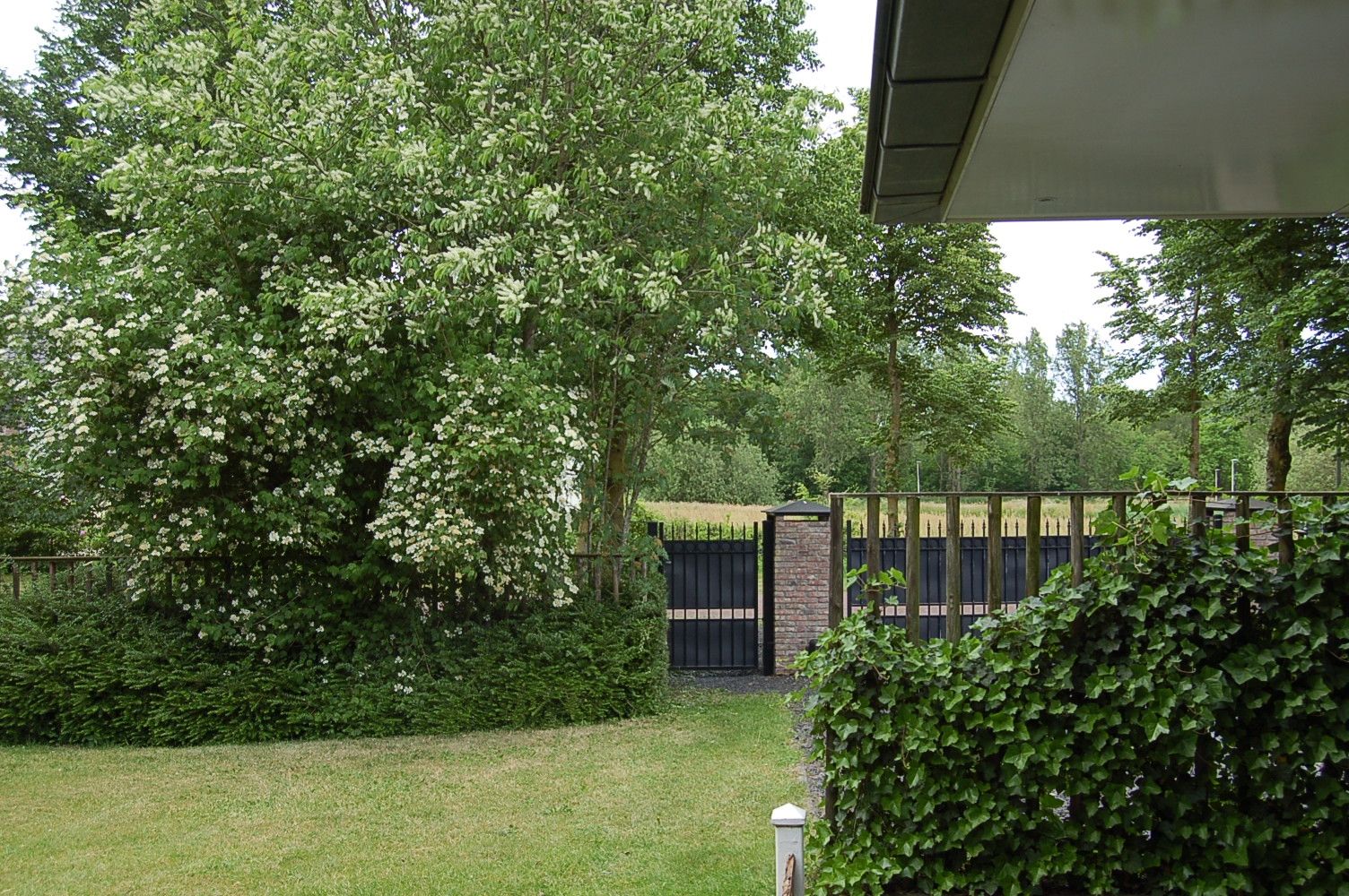 Foto 48 van Zuiderboslaan 15