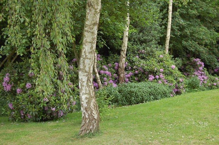 Foto 51 van Zuiderboslaan 15