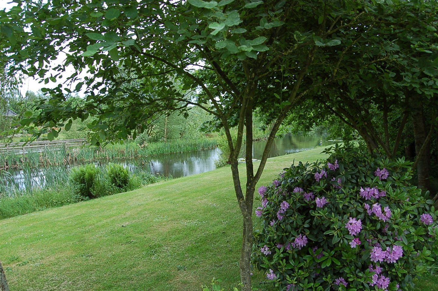 Foto 55 van Zuiderboslaan 15